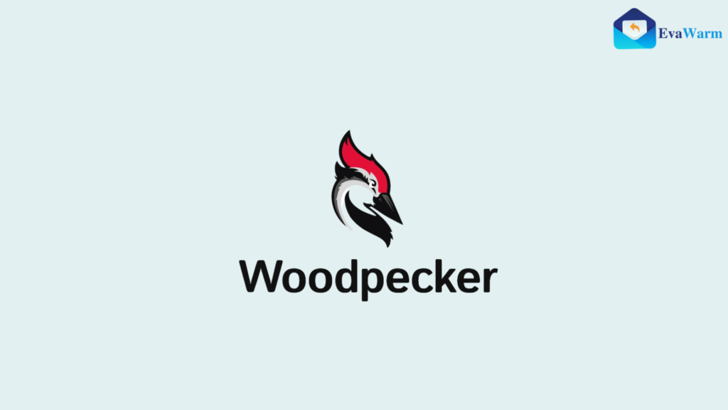 Woodpecker